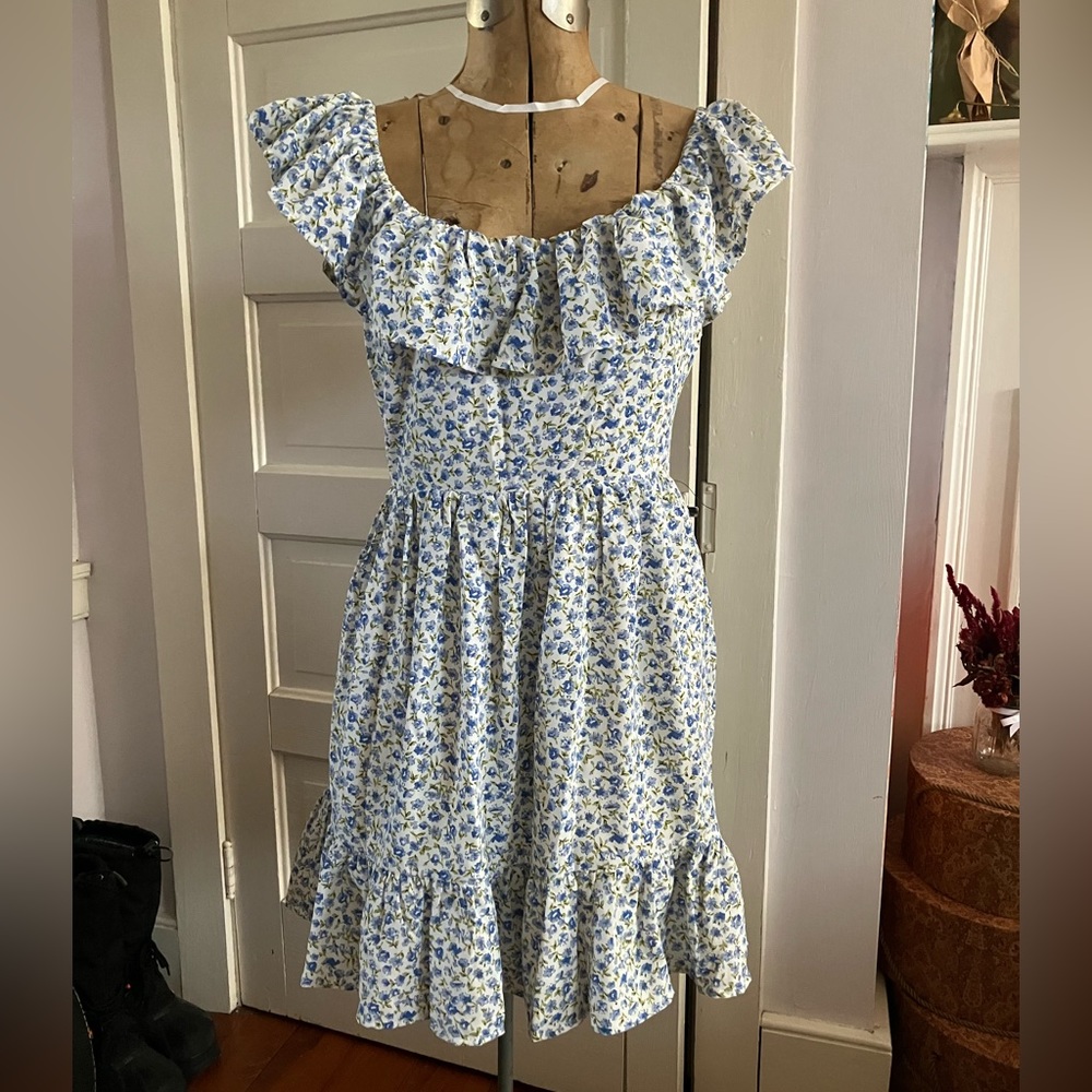 NWT Lulu’s blue and white floral dress